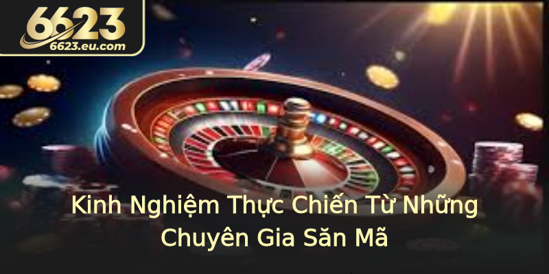 Kinh Nghiệm Thực Chiến Từ Những Chuyên Gia Săn Mã