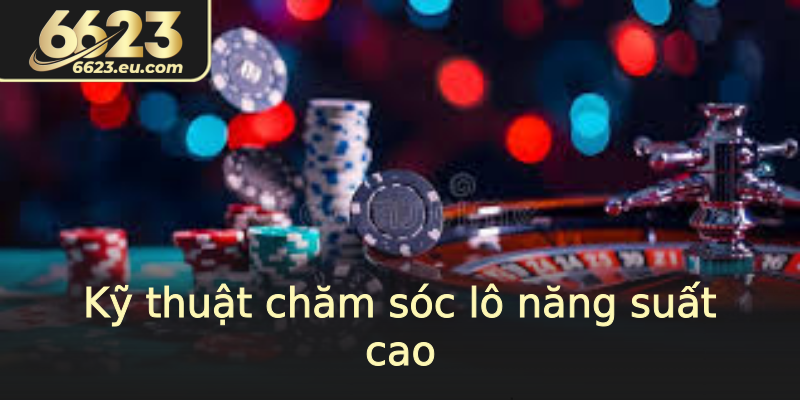 Kỹ thuật chăm sóc lô năng suất cao